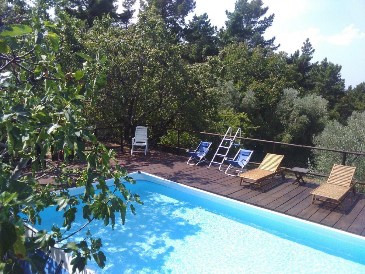 Country House Near Florence Guest House Exterior photo