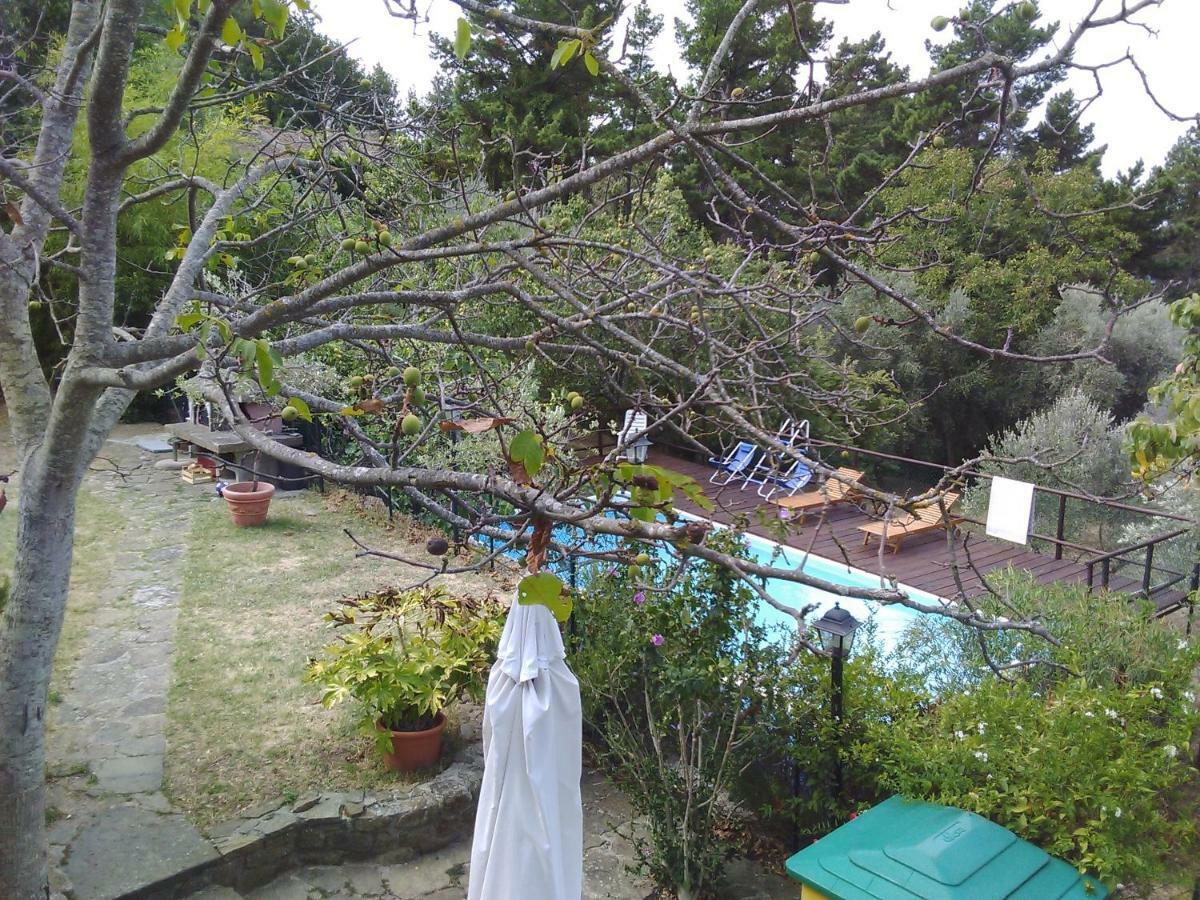 Country House Near Florence Guest House Exterior photo
